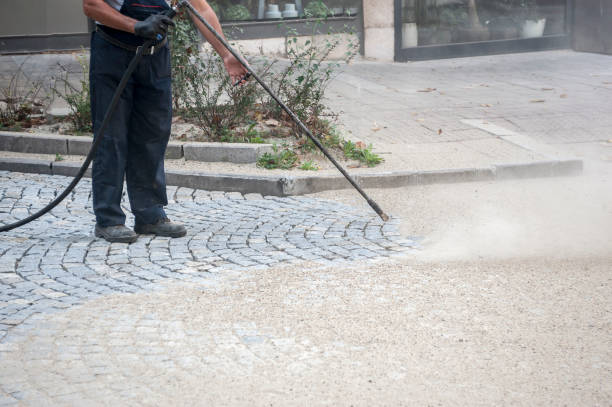 Best Factory Floor Cleaning  in St Hedwig, TX