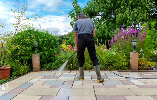 Best Sidewalk and Walkway Cleaning  in St Hedwig, TX